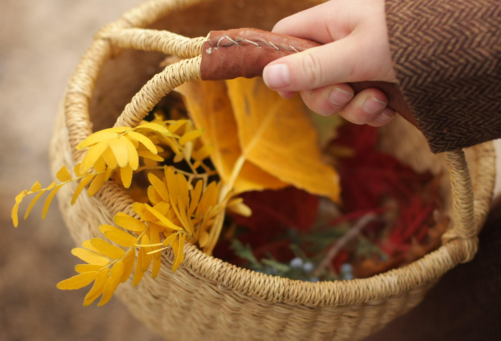 Beeswax Leaf Preservation & Crafts Tutorial