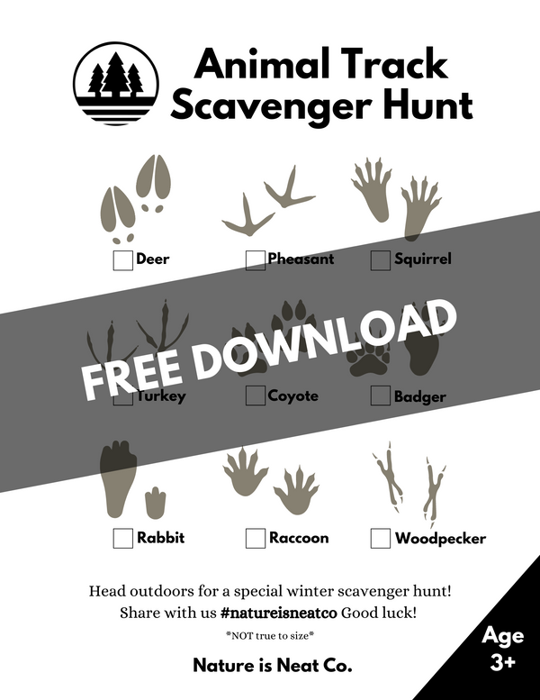 Animal Scavenger