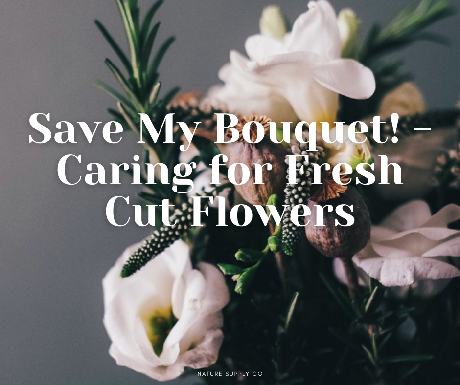 Save My Bouquet! - Caring for Fresh Cut Flowers