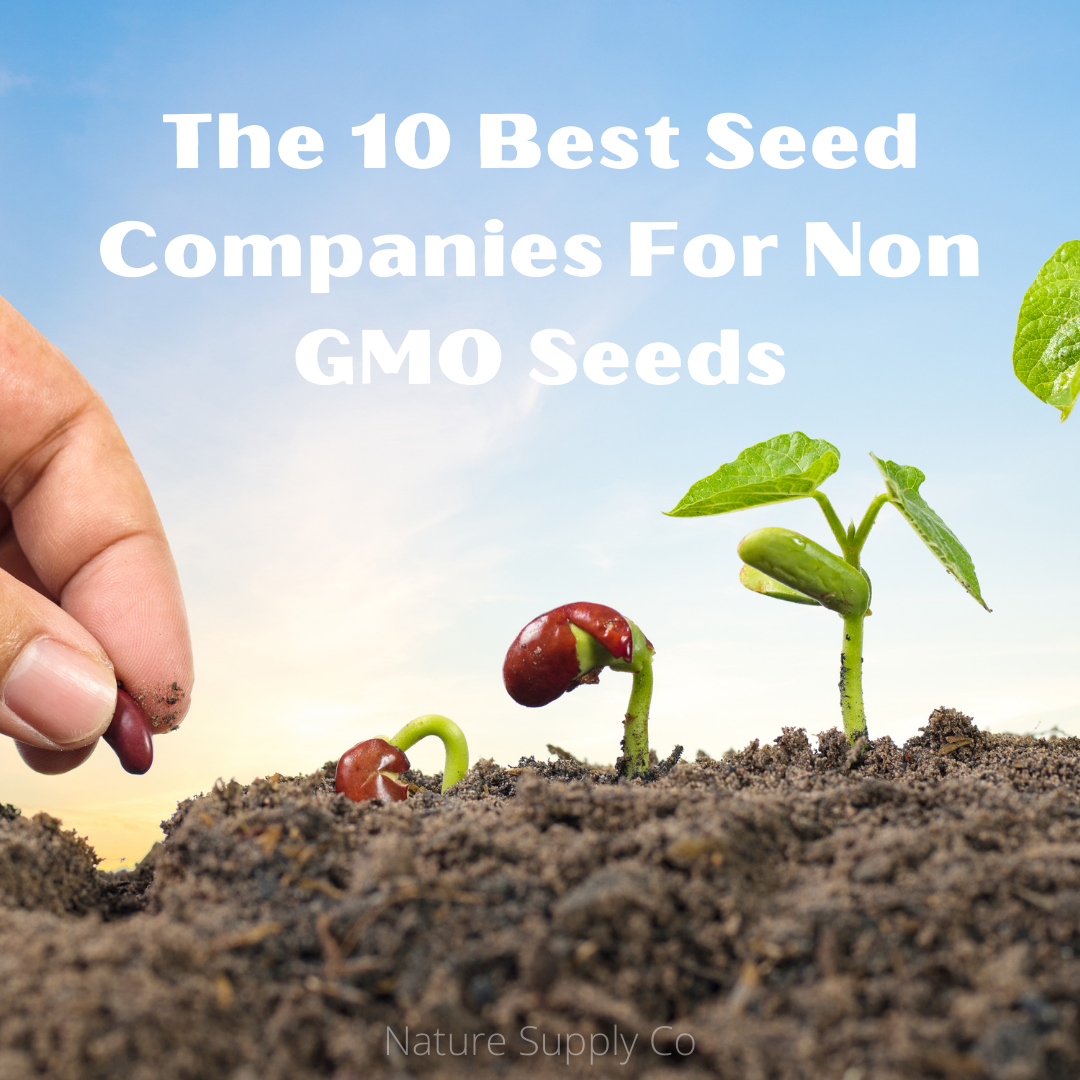 The 10 Best Seed Companies For Non GMO Seeds Nature Supply Co
