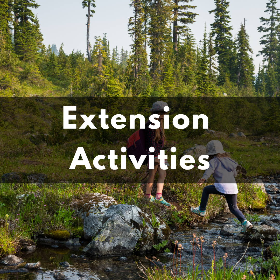 Extension Activities