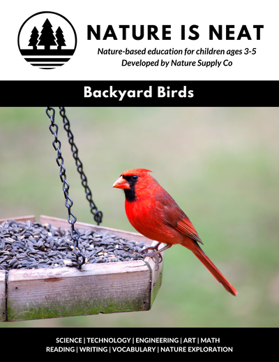 Backyard Birds (Ages 3-5)