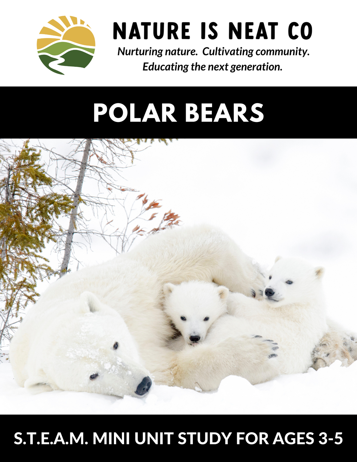 Polar Bears (Ages 3-5)