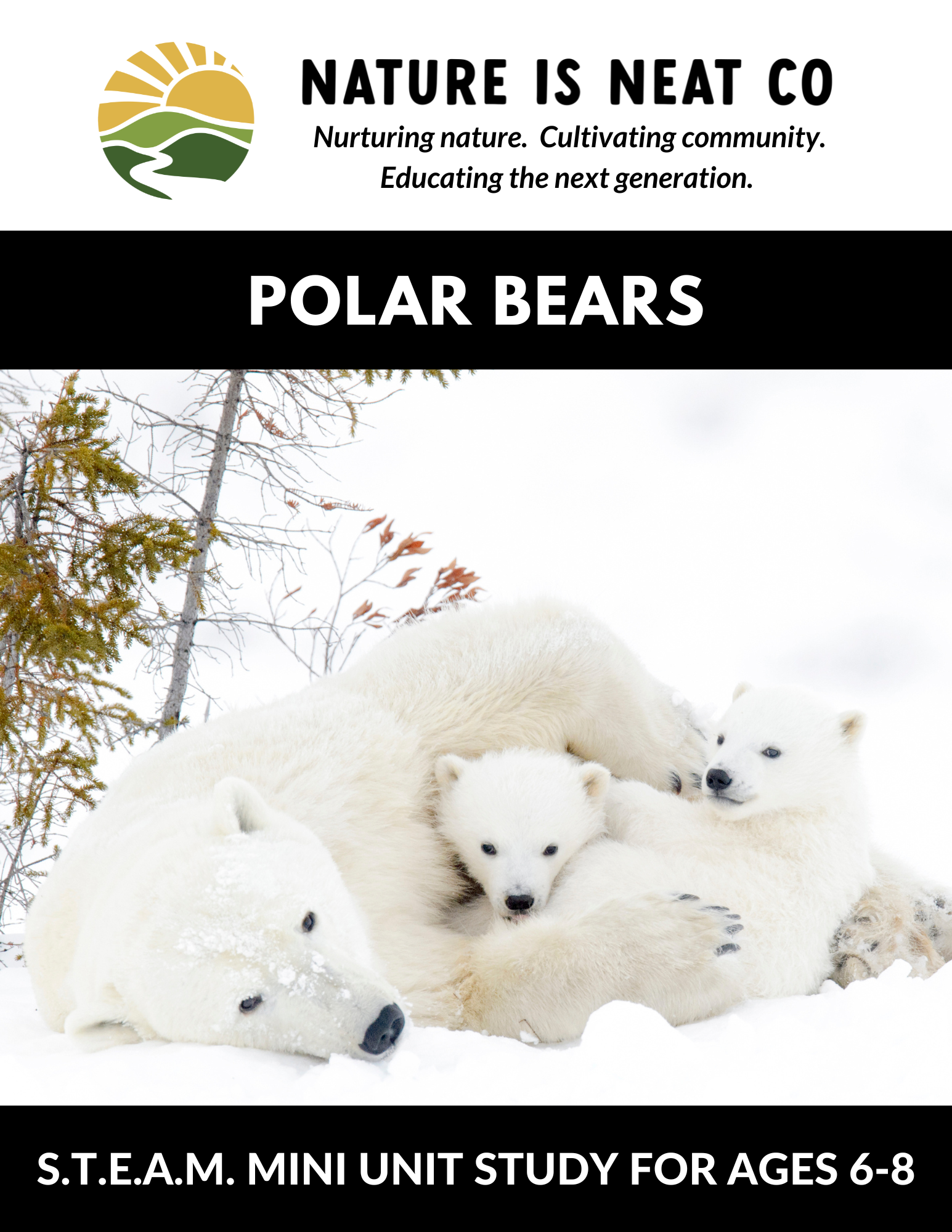 Polar Bears (Ages 6-8)