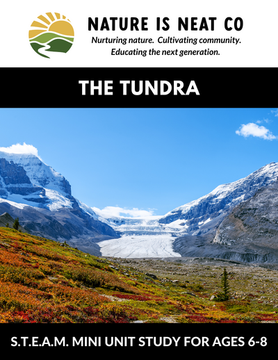 The Tundra (Ages 6-8)