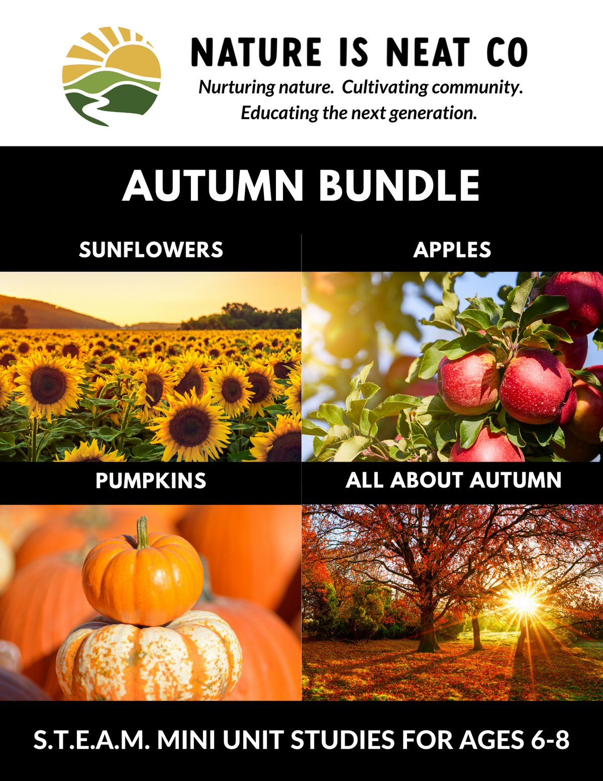 Autumn Bundle (Ages 6-8)