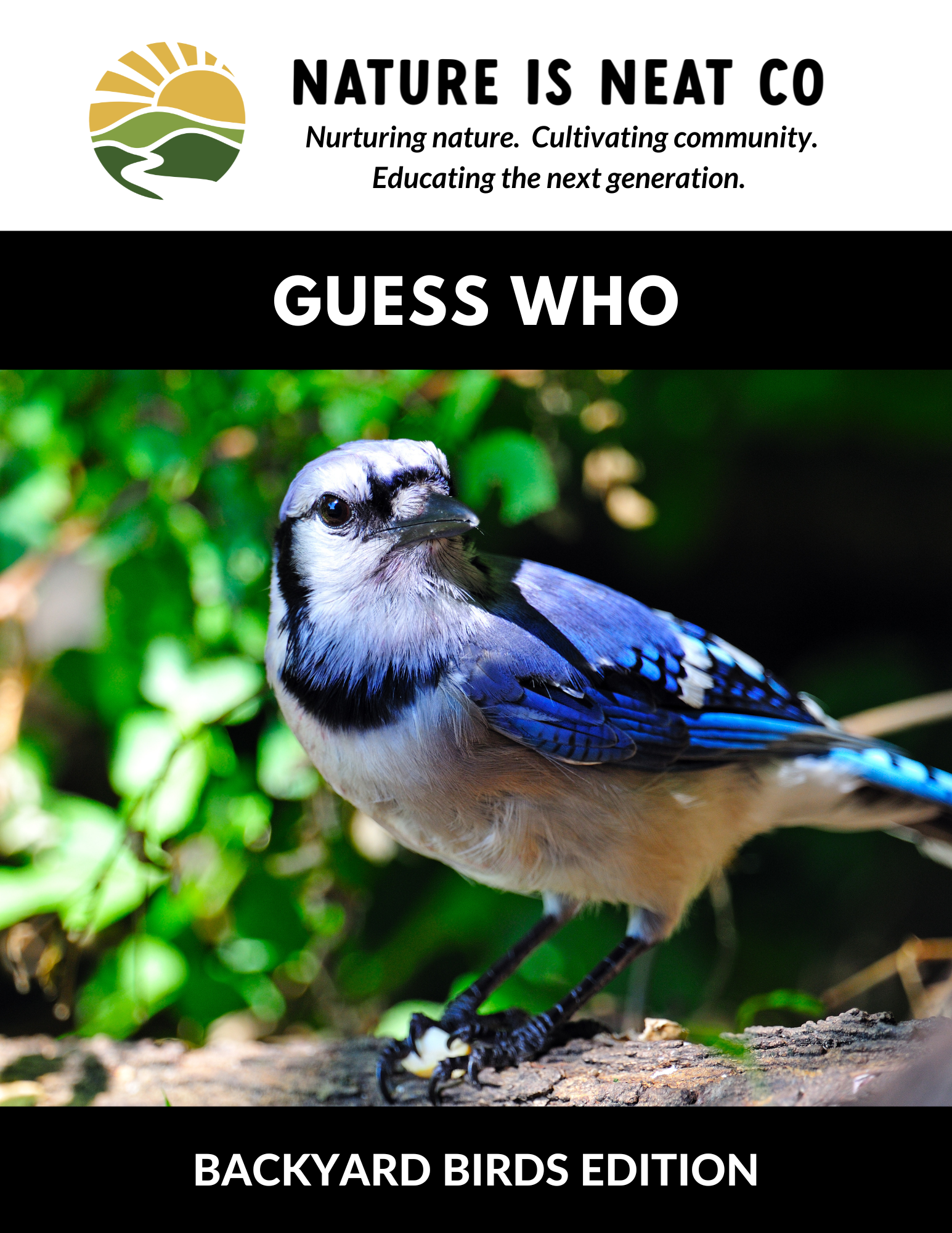 Guess Who: Backyard Birds Edition