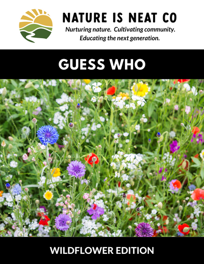Guess Who: Wildflower Edition