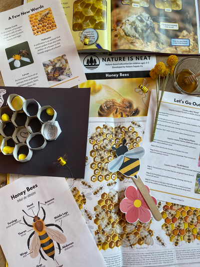 Honey Bees (Ages 3-5)