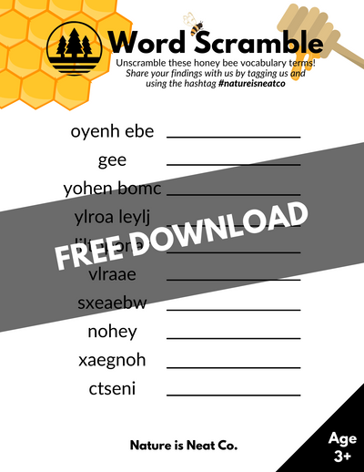 FREE: Honey Bee Word Scramble
