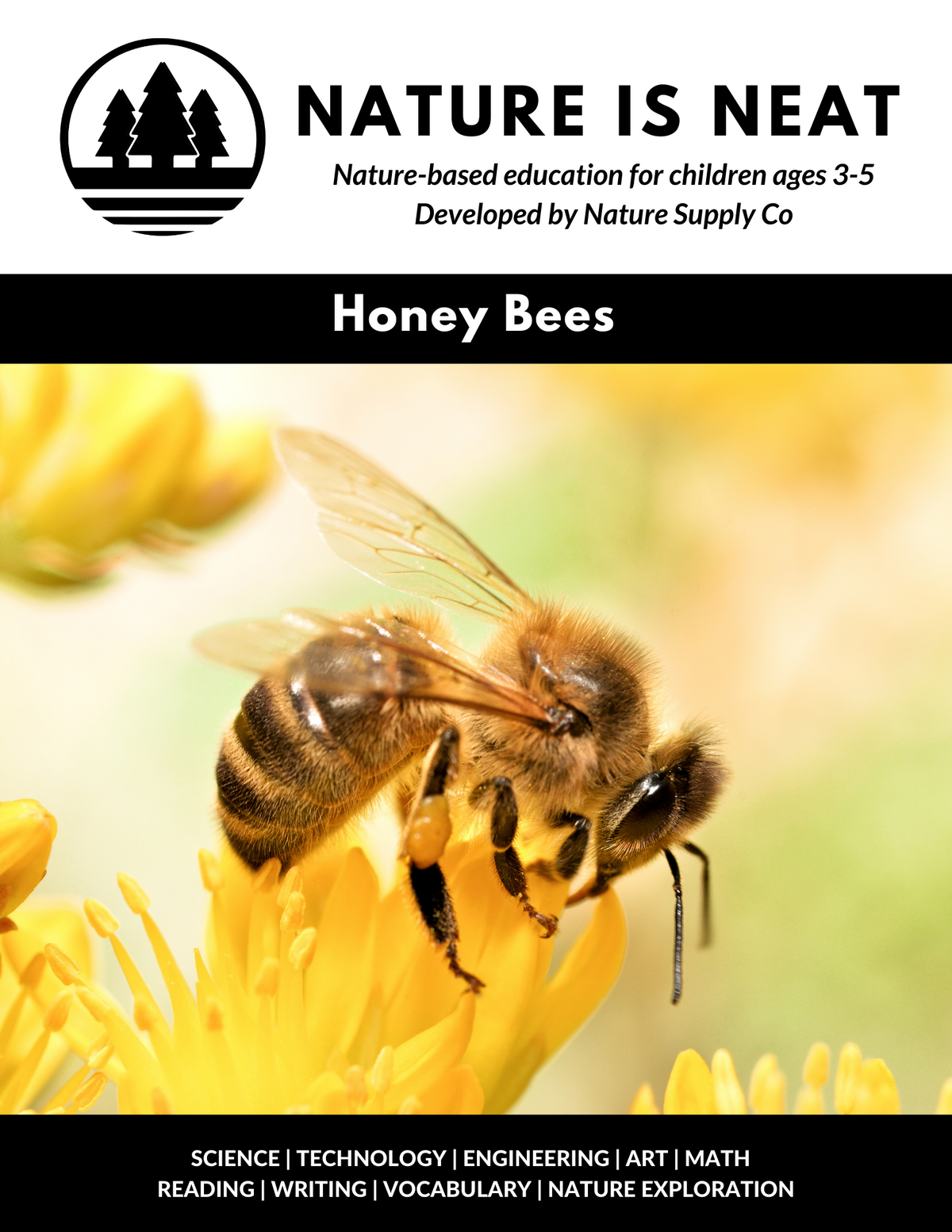 Honey Bees (Ages 3-5)