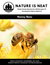 Honey Bees (Ages 6-8)