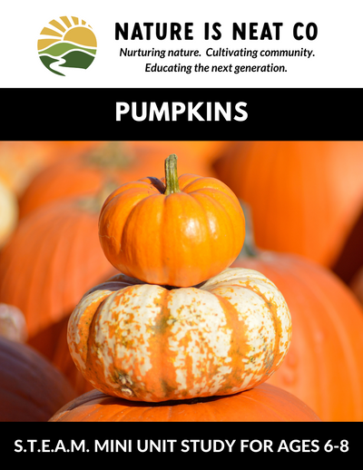Pumpkins (Ages 6-8)