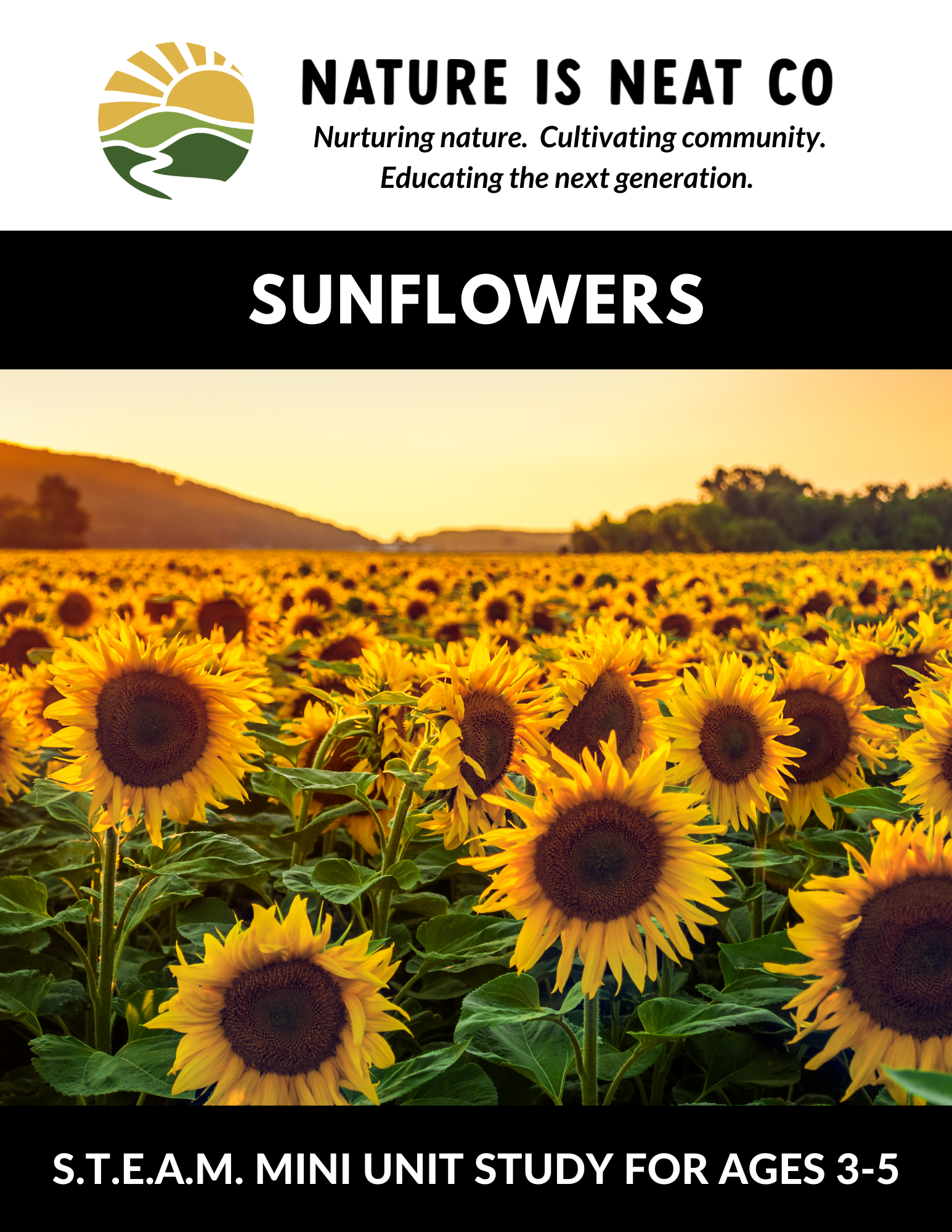 Sunflowers (Ages 3-5)