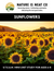 Sunflowers (Ages 6-8)