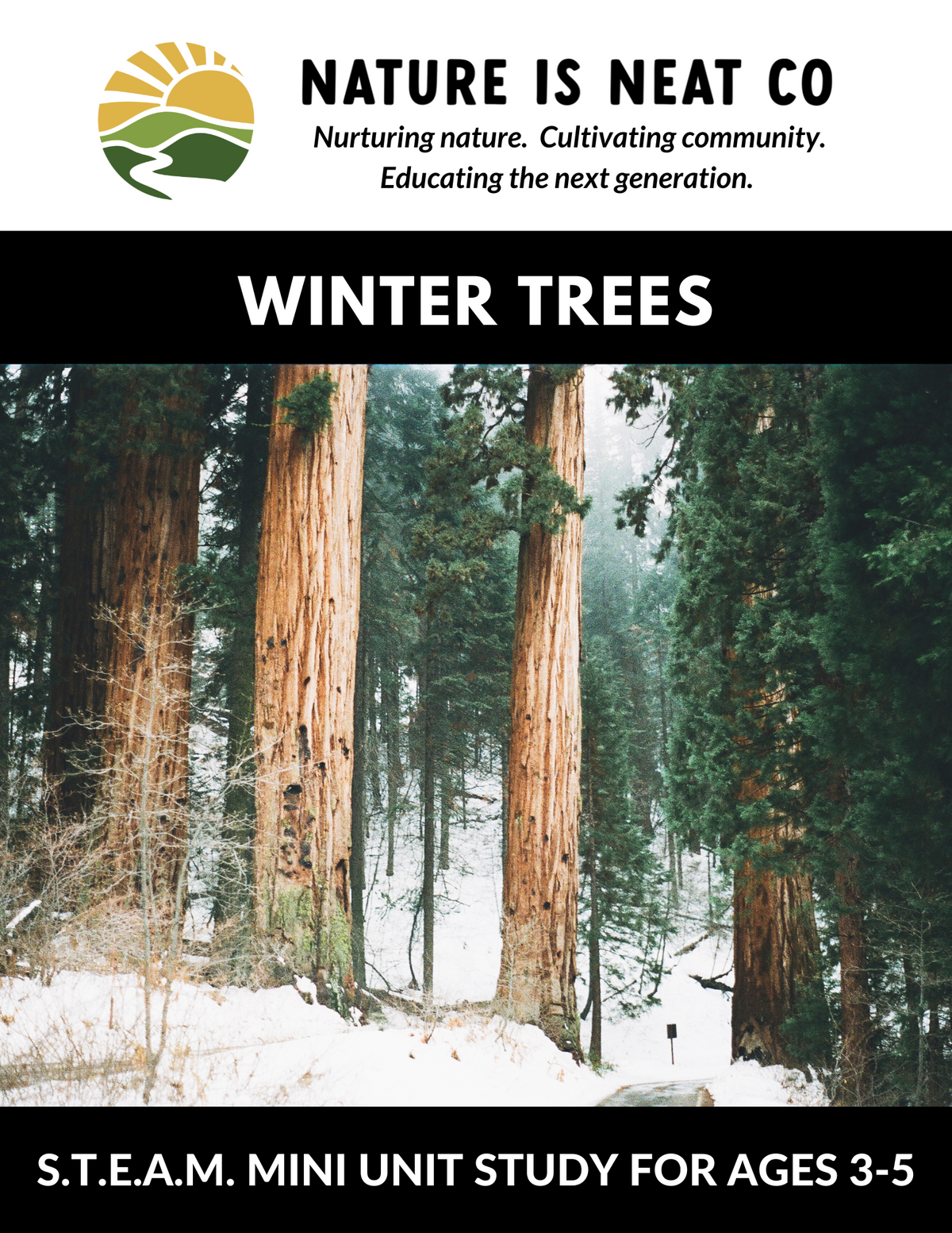 Winter Trees (Ages 3-5)